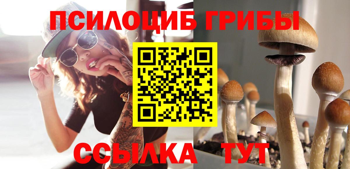 Галлюциногенные грибы MAGIC MUSHROOMS  Вход с VPN  Галлюциногенные грибы мухоморы  Миасс 